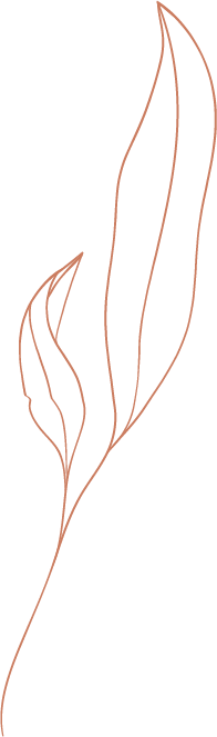 grafico dibujo hoja